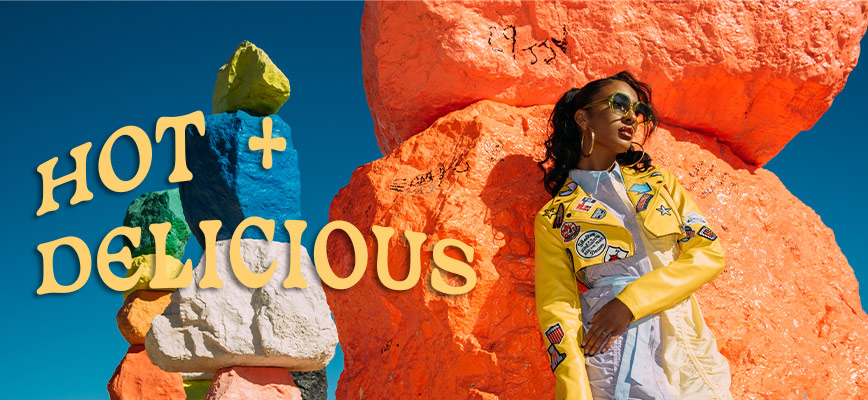 zara reversible coat